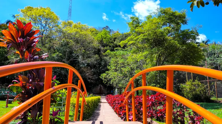 Ponte sobre os canteiros floridos